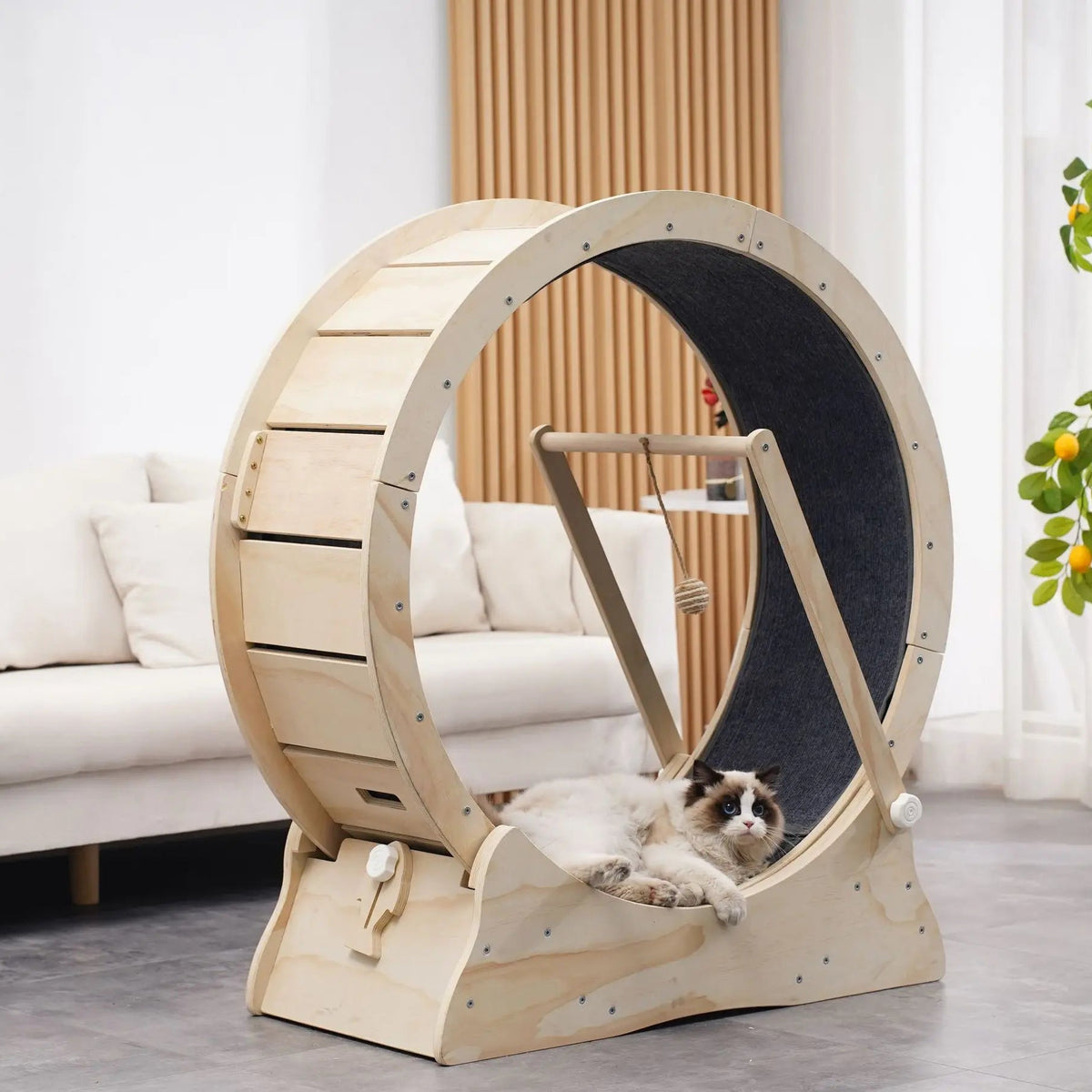 arbre à chat moderne avec roue
