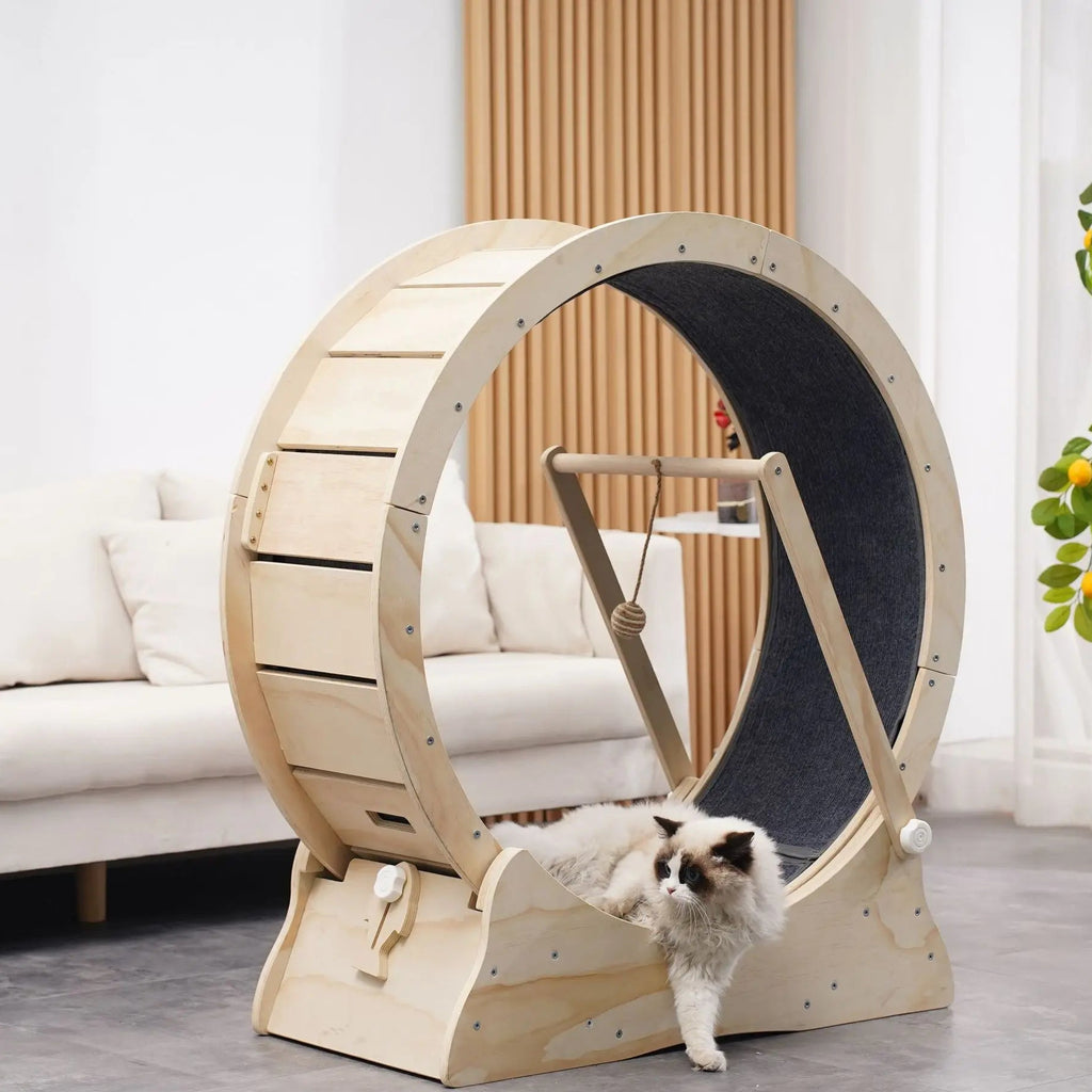 arbre à chat design roue