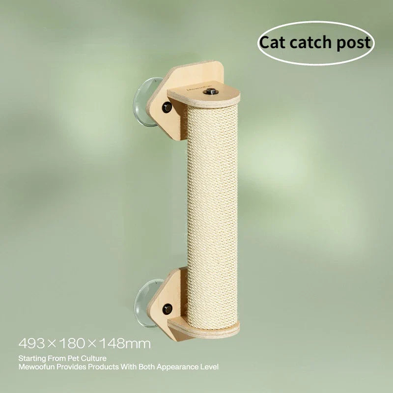 espace d'observation pour chat