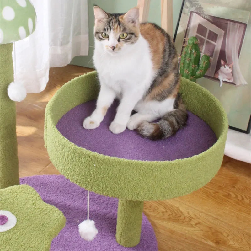 arbre à chat coloré jardin