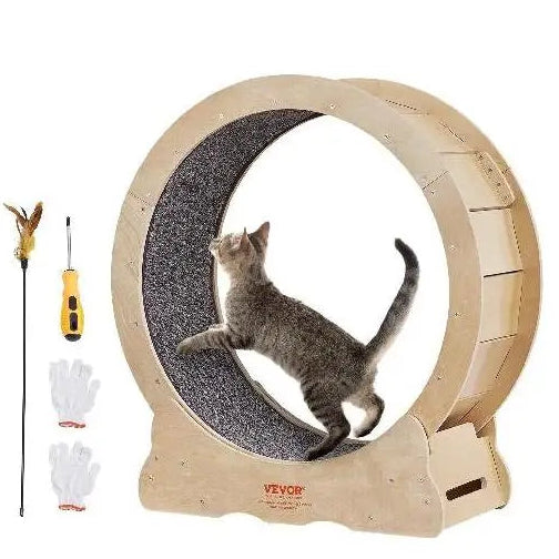 roue à chat silencieuse