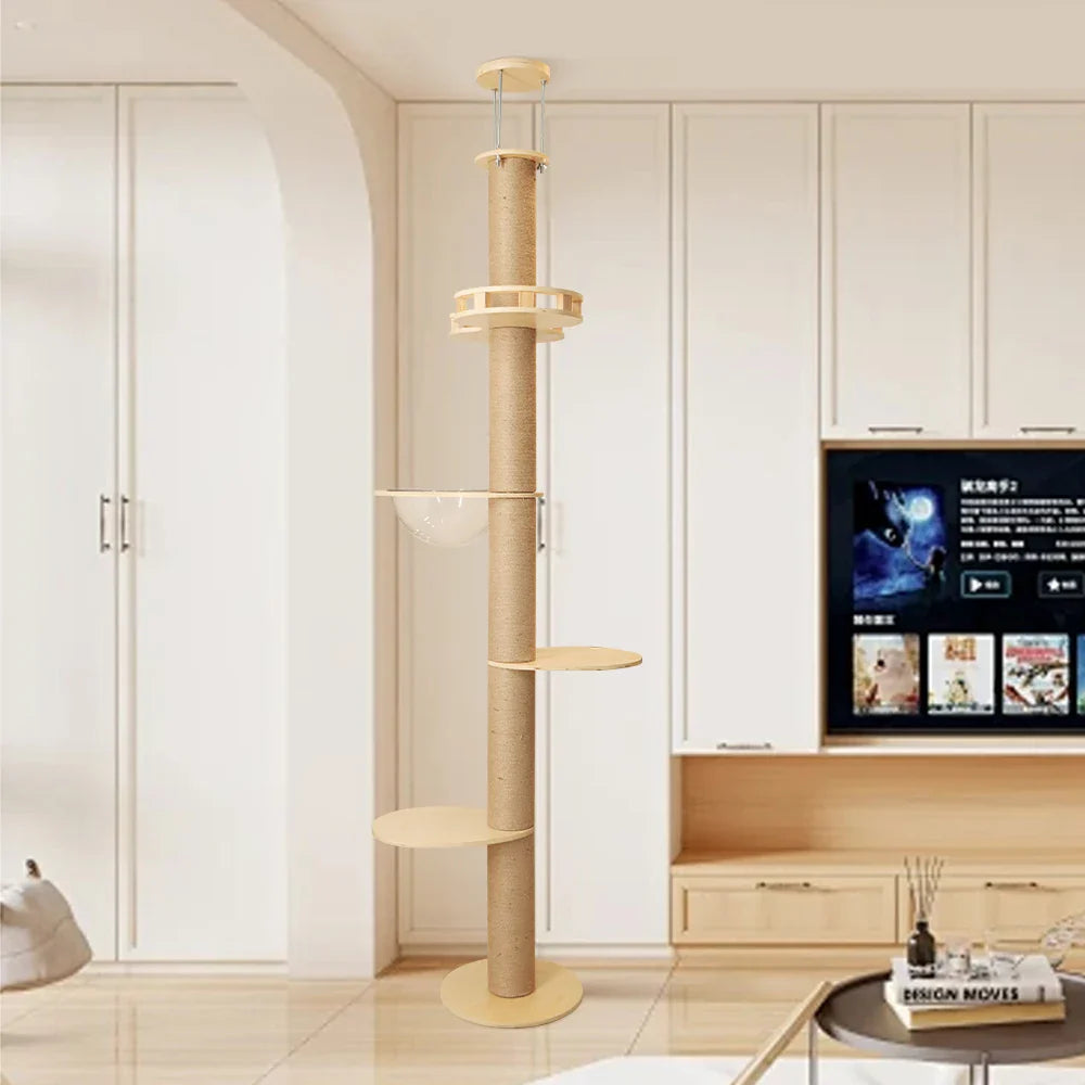 arbre à chat Maine Coon du sol au plafond