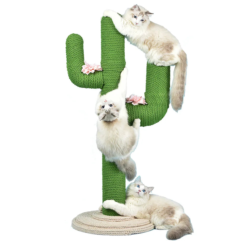 éseau d'escalade pour chat cactus