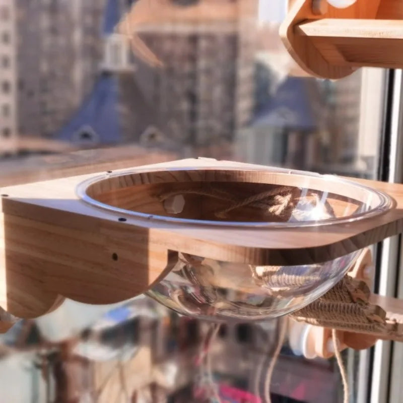 arbre a chat fenetre ventouse