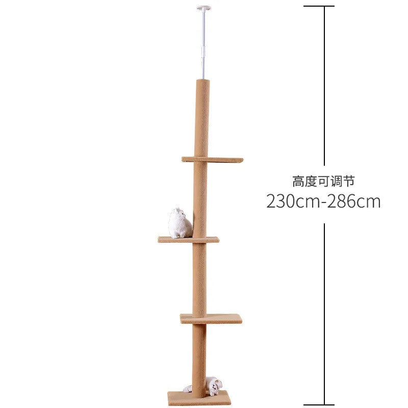 arbre à chat Maine Coon ajustable