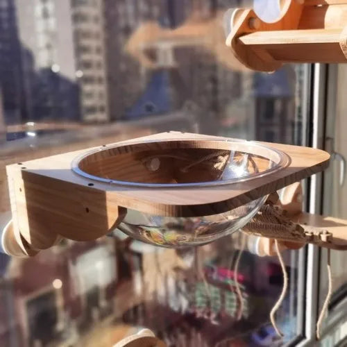 jouet pour chat avec ventouse