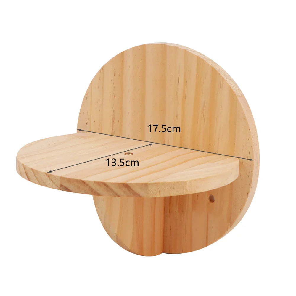 arbre à chat pas cher pour chat