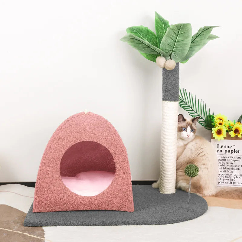 Arbre À Chat Cocotier - Plage Des Chats