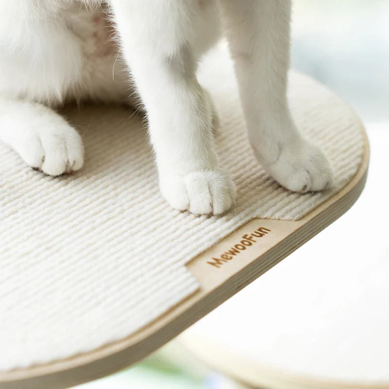 périscope pour chat