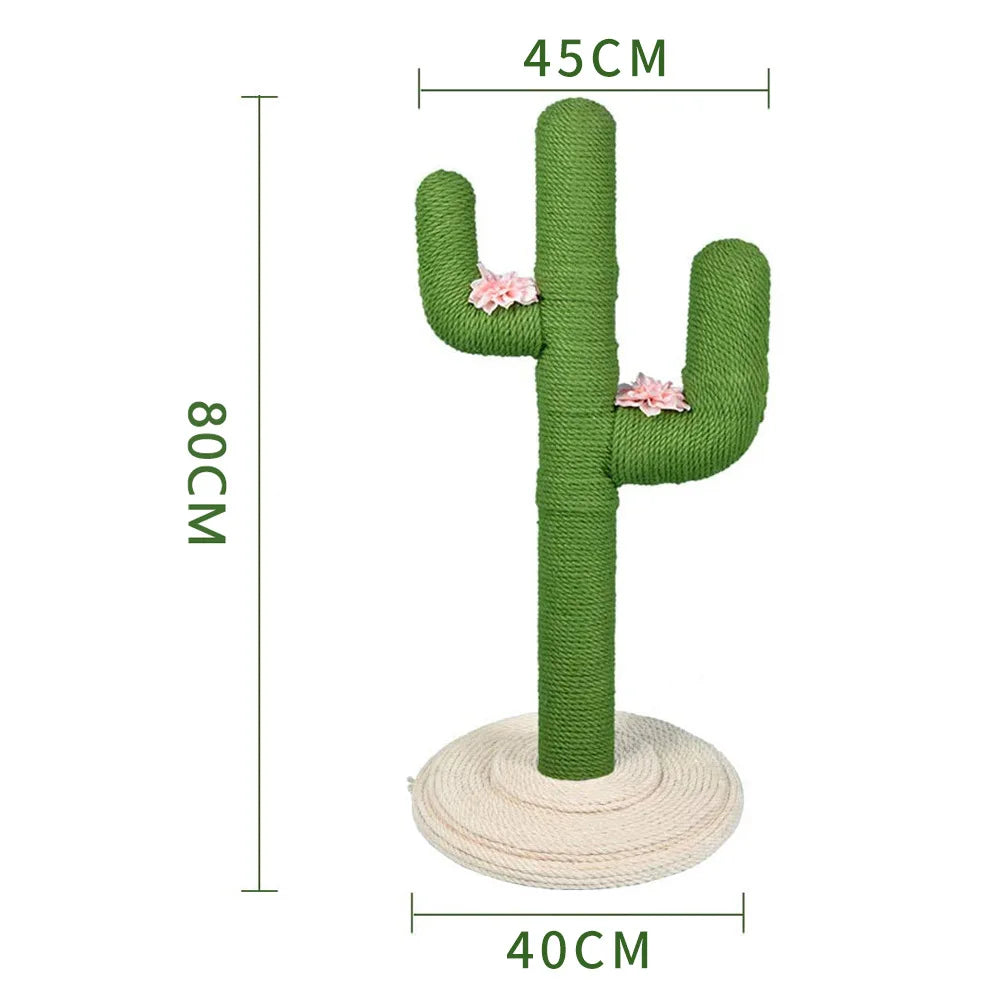 arbre à chat cactus
