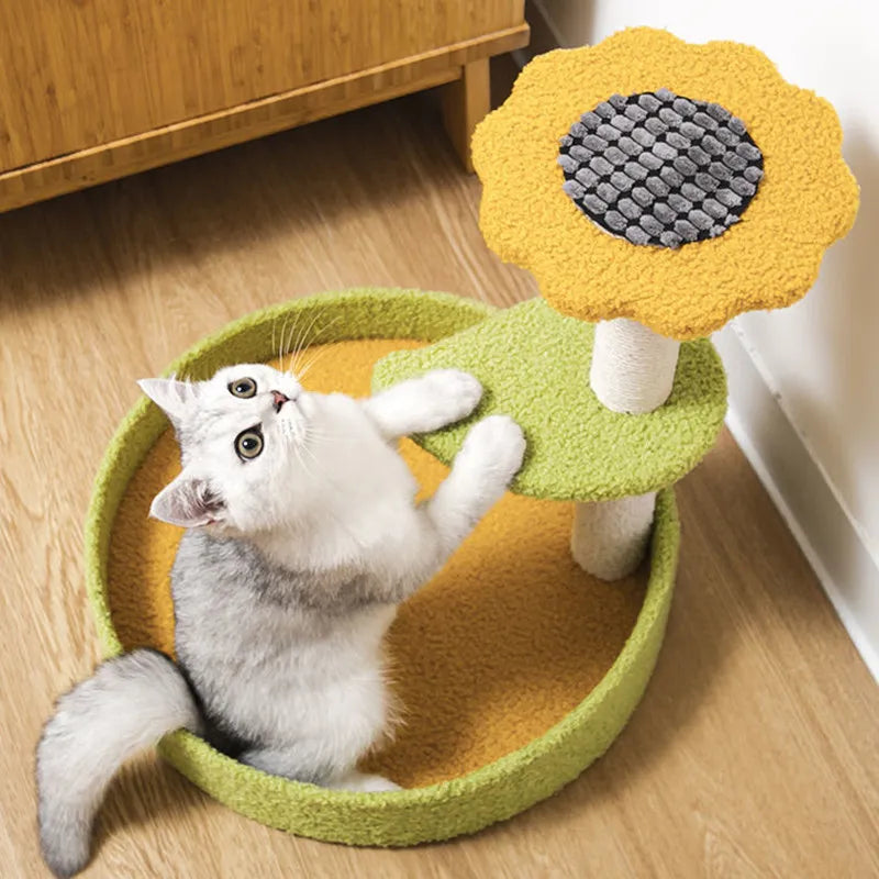 arbre à chat Miaouland coloré