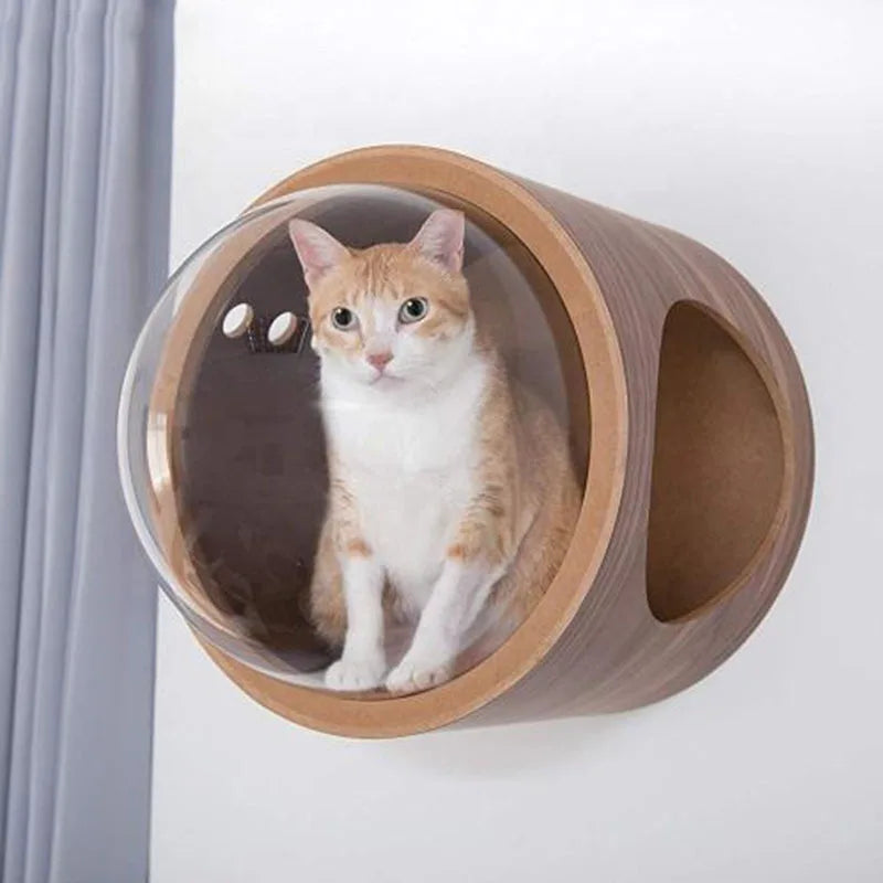 arbre à chat design capsule spatiale