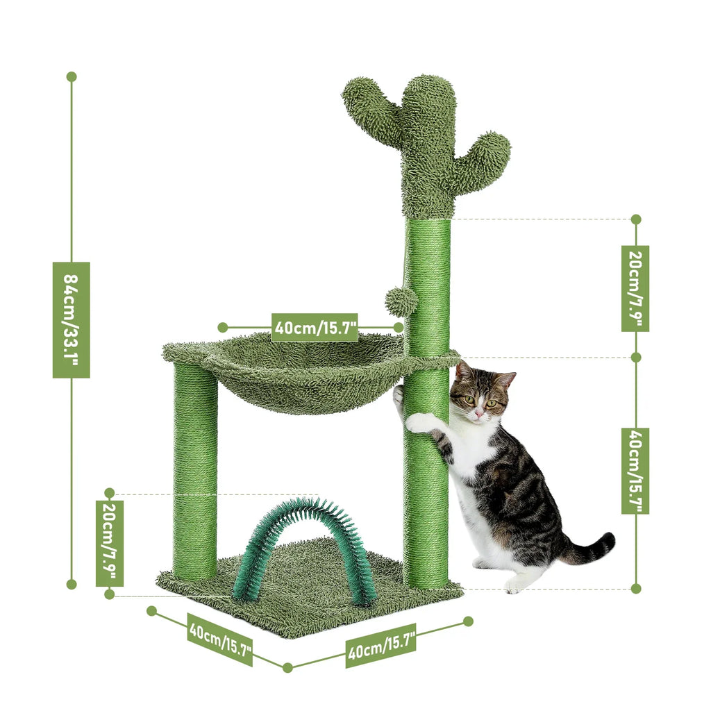 cactus pour animaux de compagnie