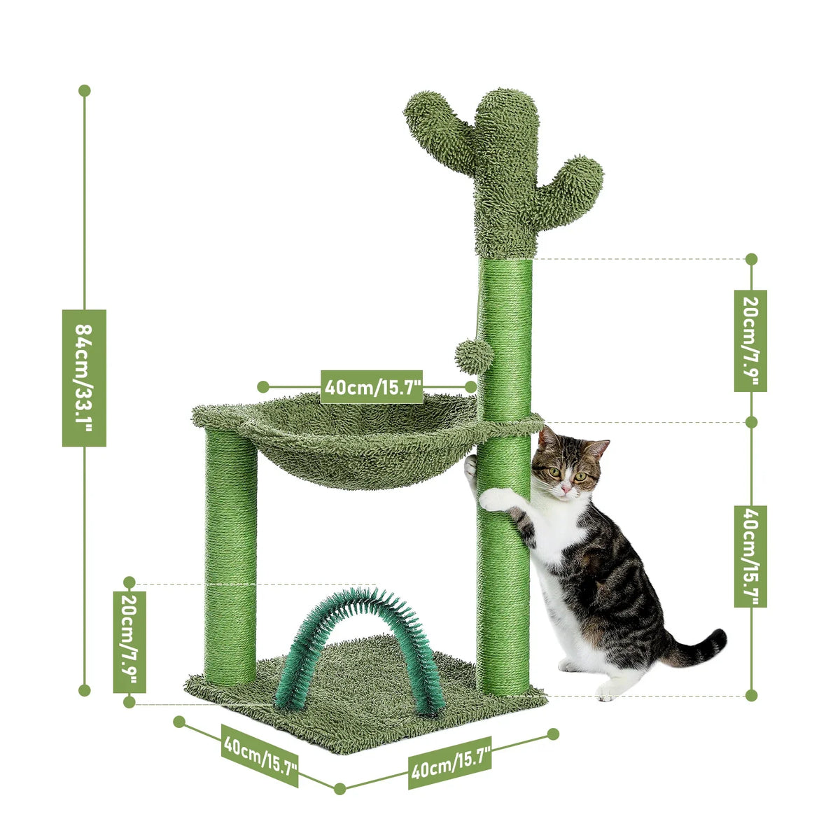 cactus pour animaux de compagnie