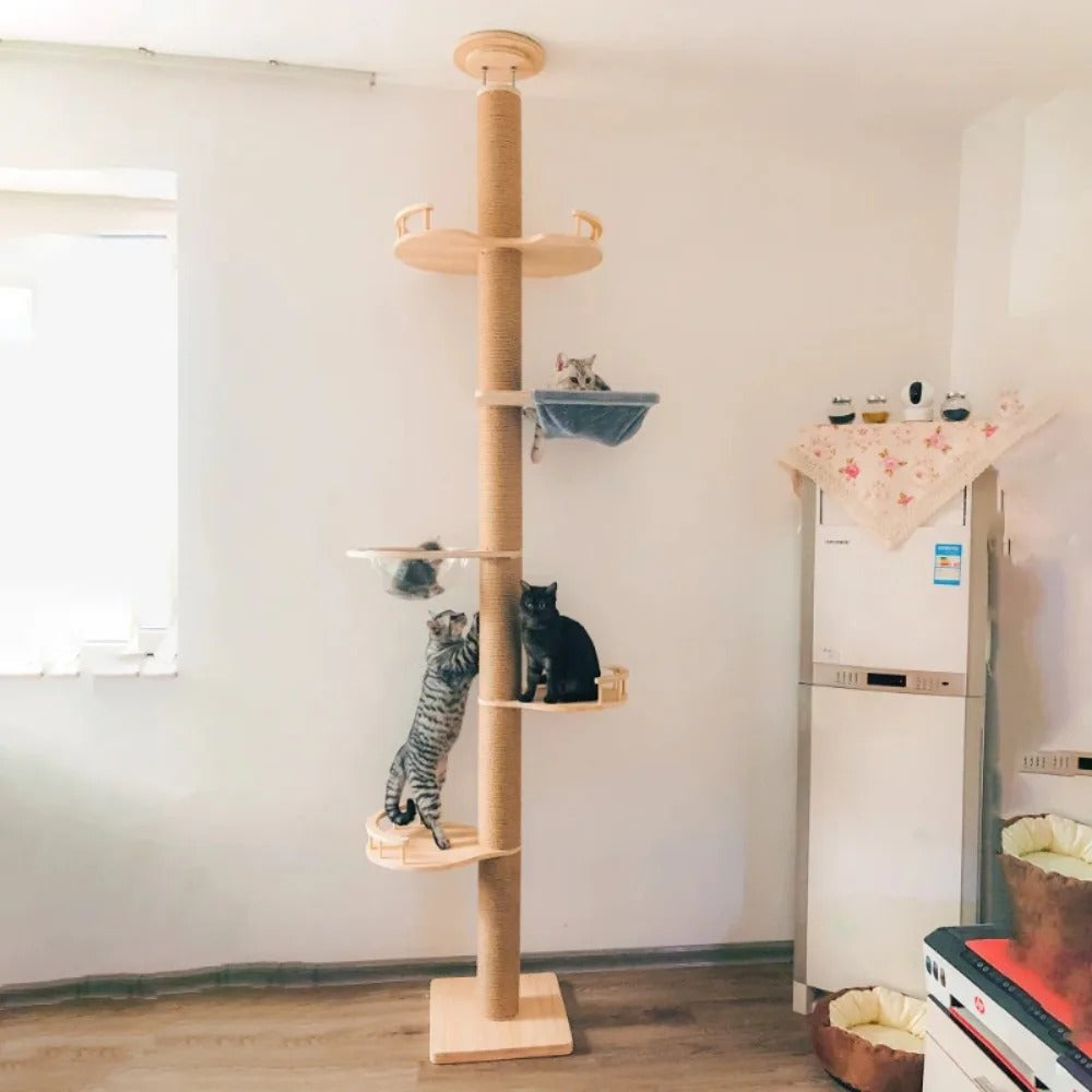 arbre à chat plafond avec hamac
