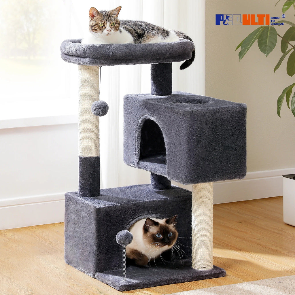 maison pour chat confortable cactus