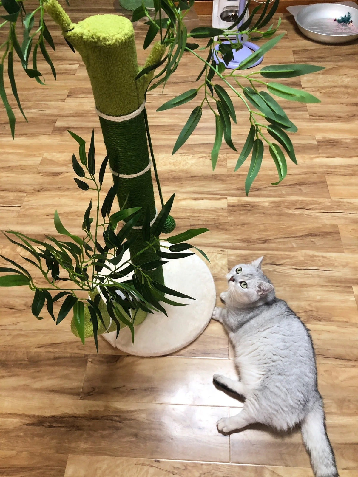 griffoir pour chat en bambou